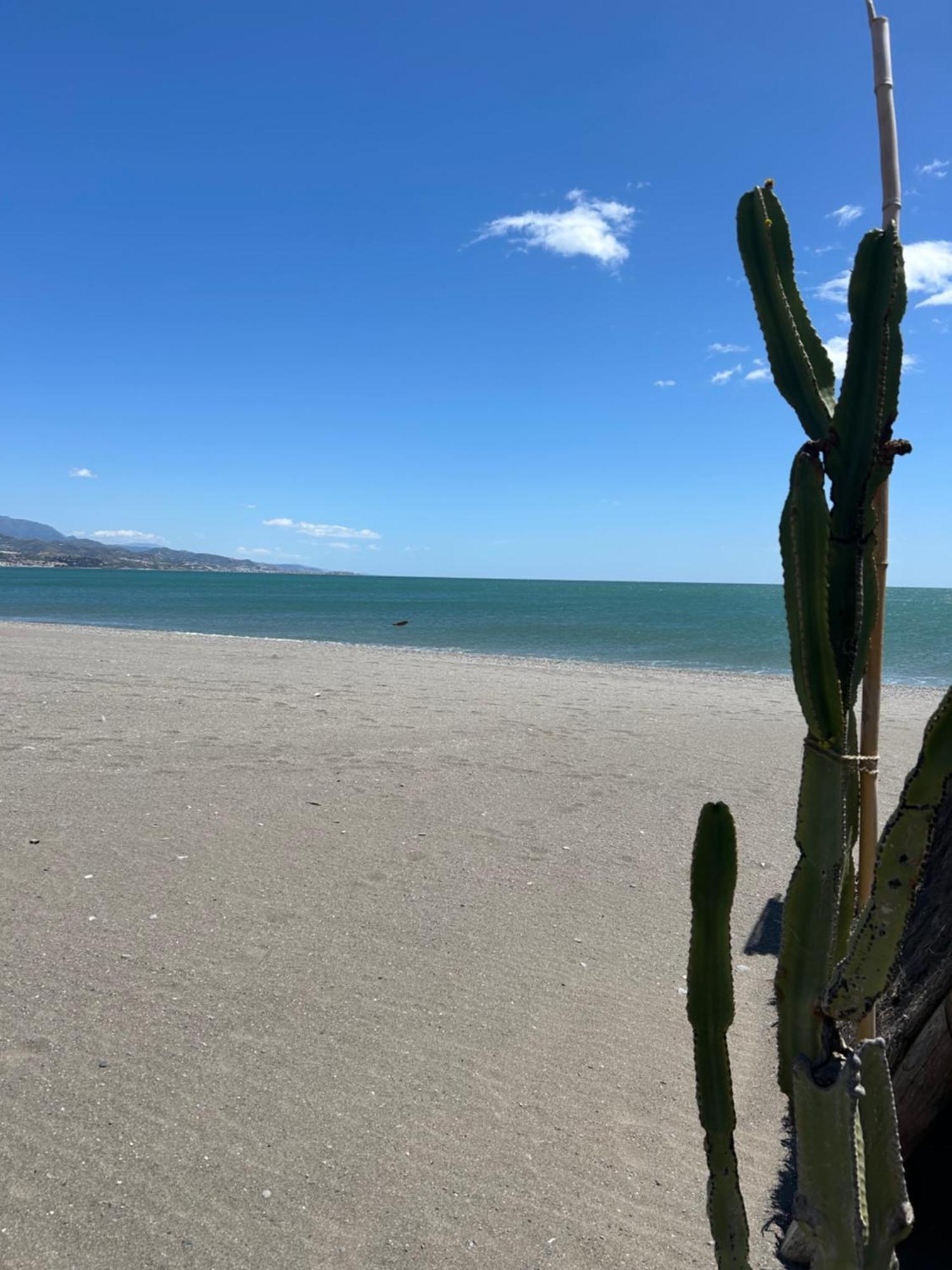 Piso A 50 M Del Mar - Mejores Vistas De ตอร์เรเดลมาร์ ภายนอก รูปภาพ